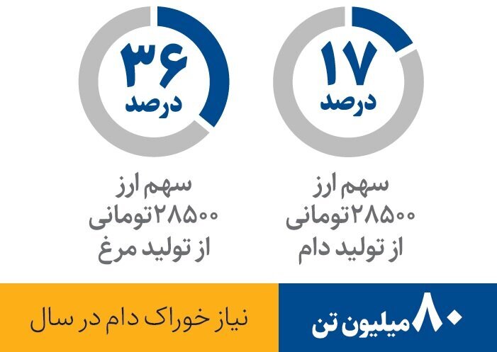 علت گرانی مرغ و گوشت مشخص شد