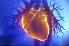 RNA‌های حلقوی؛ ابزار تازه برای پیش‌بینی بیماری‌های قلبی