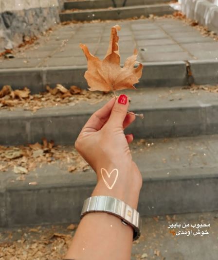 الناز حبیبی به فصل محبوبش خوش آمد گفت!