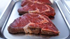 هند در ژوئیه ۲۰۲۵ صادرات گوشت به روسیه را ۳۳ برابر افزایش داد.