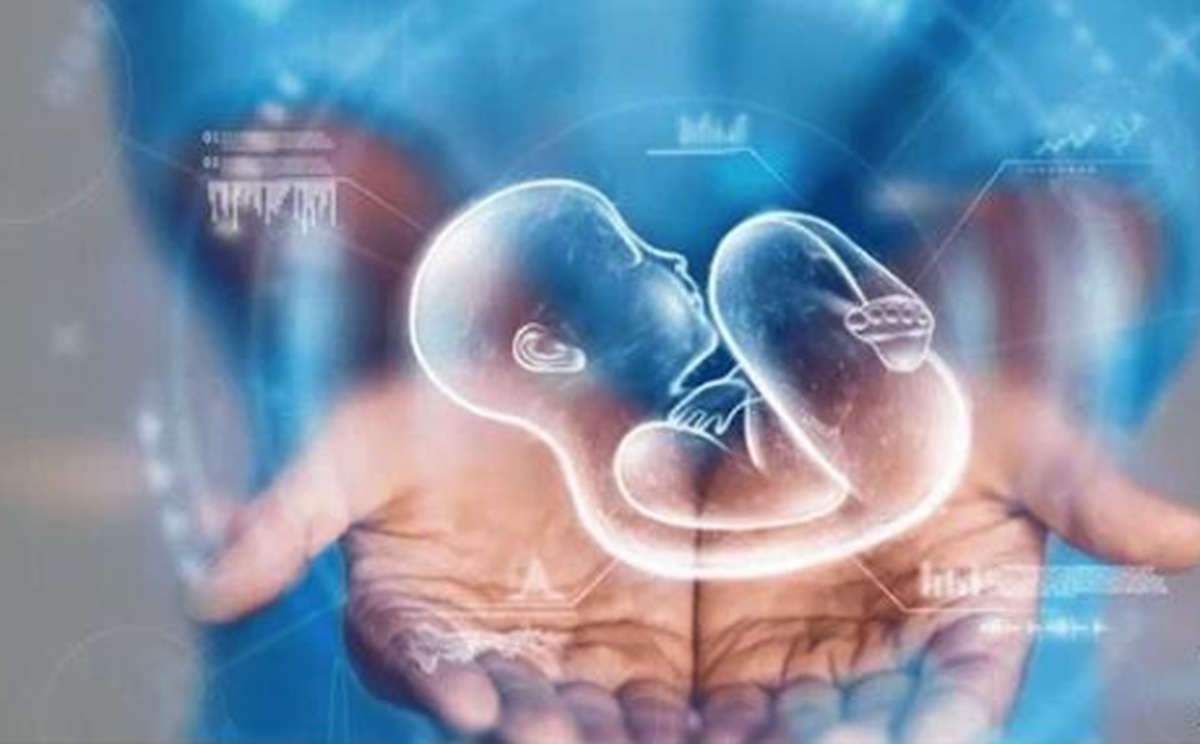 نقش سیستم ایمنی در بارداری فراتر از حد تصور!