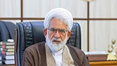 هوش مصنوعی می‌تواند به قضات در صدور آرای مستدل کمک کند