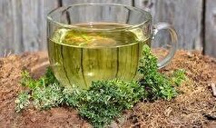 استفاده از عرق یونجه یا شربت سه‌شیره برای تامین آهن مادران باردار غلط است