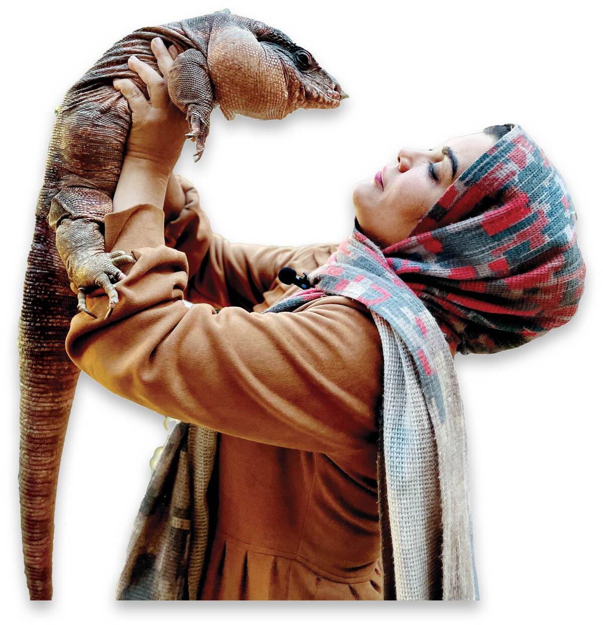 هیجان در جمع دوستانه این خانم با خزندگان