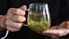 تحقیقات ثابت کرده است که چای سبز می‌تواند با چاقی مبارزه کند.