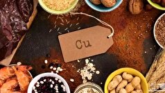 مس مورد نیاز بدن را چگونه تامین کنیم؟