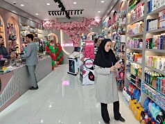 ۲۳۶ مرکز عرضه محصولات آرایشی و بهداشتی در دشتستان بازرسی شد