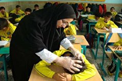 شناسایی بیش از ۸۰۰۰ مبتلا به شپش سر در حوزه تحت پوشش دانشگاه علوم پزشکی مشهد