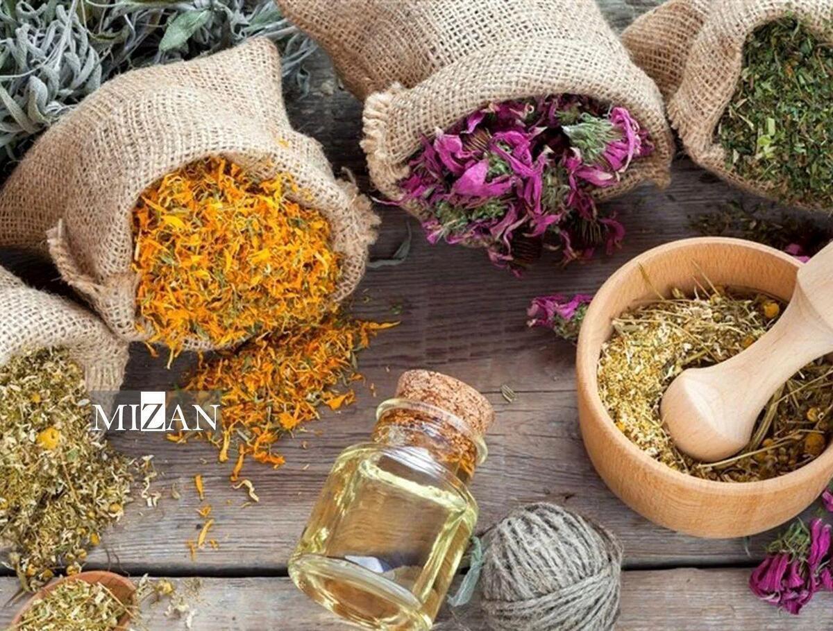 برای لاغری سراغ چه گیاهی برویم؟