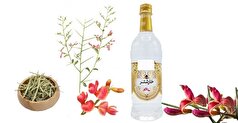 دانستنی‌های مهم درباره خواص عرق خارشتر