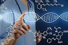 علائم بارز اختلال مرتبط با بیماری SYNGAP ۱ به مرز معکوس شدن رسید!