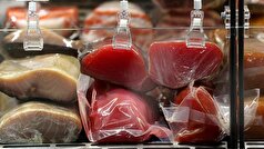 یک دانشمند، مضرترین گونه‌های ماهی را فهرست کرده است.