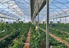 سرمایه‌گذاری ۲۲ میلیون دلاری در گلستان با حمایت قضایی