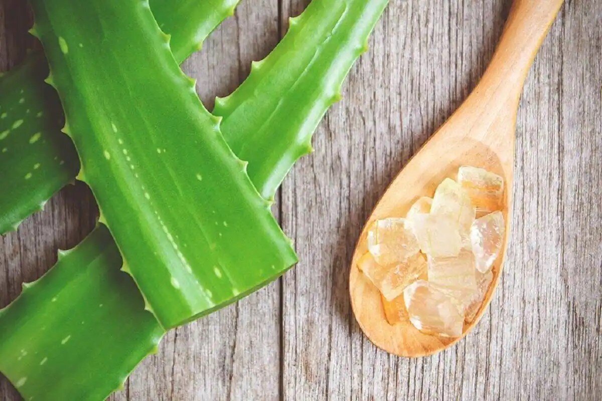 آموزش گام به گام تهیه کمپوت آلوورا /دیگه همیشه یک دسر سالم و آماده دارید!