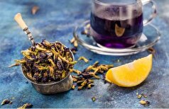 گل گاوزبان گیاهی آرامش‌بخش و مفید برای دوران بارداری