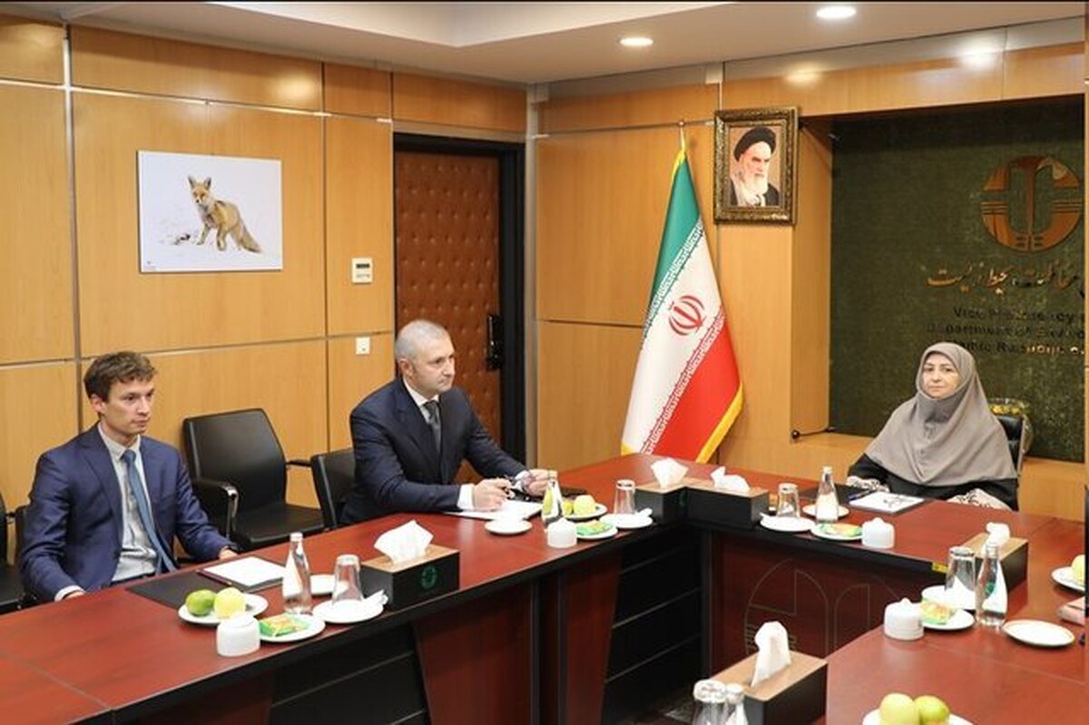 بررسی چگونگی برگزاری کاپ ۷ در تهران