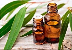 به کمک این گیاه معجزه آسا یک آبرسانی عمیق به پوست تان هدیه کنید!