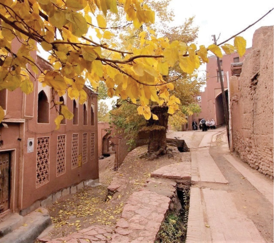 چند قاب شاعرانه و مستانه از پاییز ایران