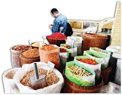 عطارباشی در سرزمین شگفت‌انگیزها