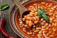 چربی احشایی چه نقشی در بدن دارد؟