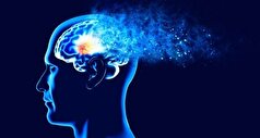 آلزایمر در واقع مرتبط با اختلال سیستم ایمنی مغز است!