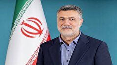 وزیر بهداشت برای شرکت در نشست کمیته منطقه‌ای مدیترانه شرقی به مصر سفر کرد
