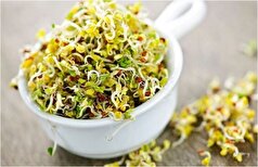 استفاده از عرق یونجه برای پاکسازی بدن