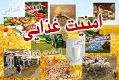 ۸ درصد از ظرفیت دانش‌بنیان کشور در خدمت امنیت غذایی