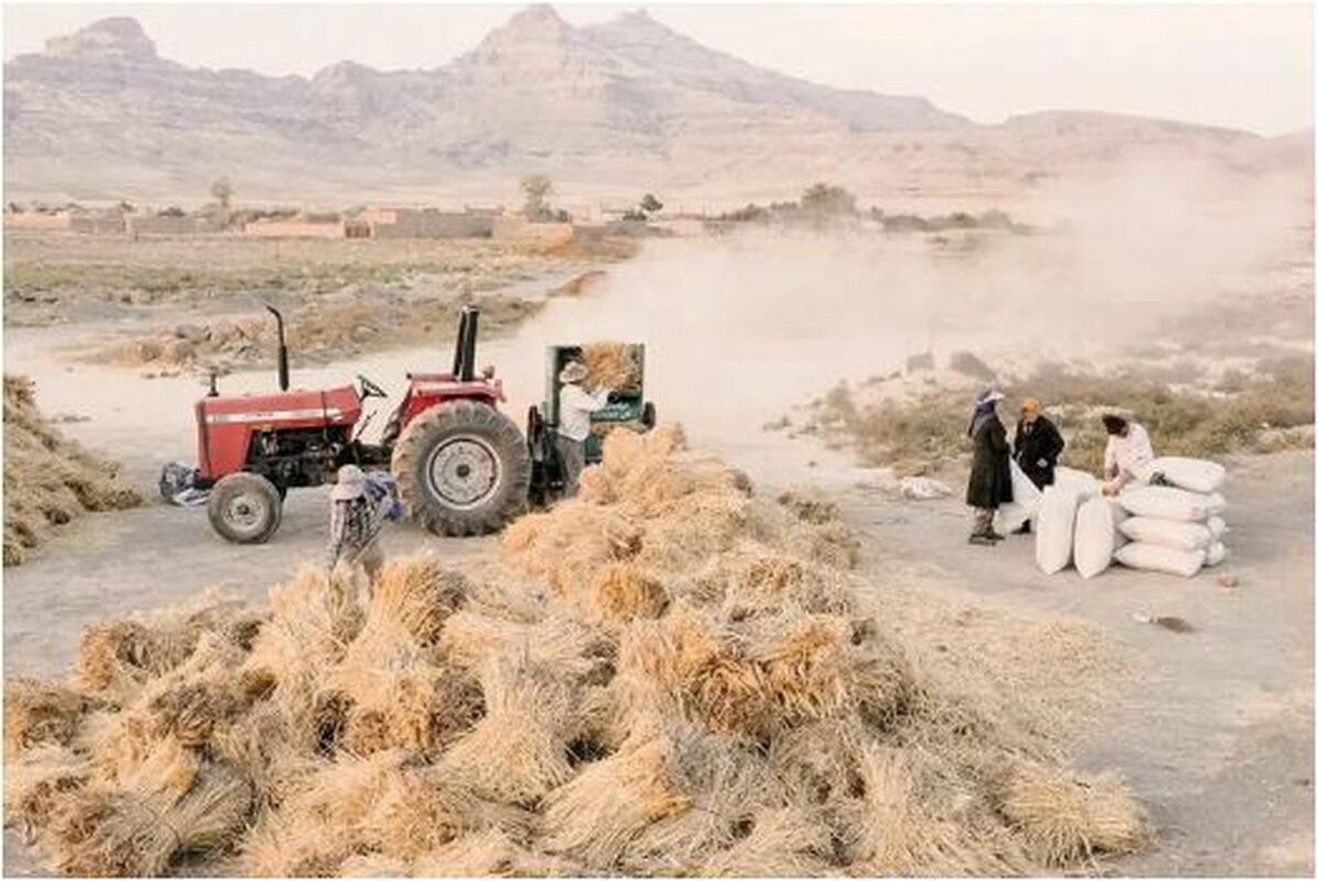 خشک شدن دریاچه ارومیه چه تبعاتی در پی دارد؟