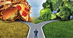 یک متخصص گوارش درباره رژیم غذایی که طول عمر را افزایش می‌دهد صحبت می‌کند