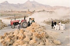 خشک شدن دریاچه ارومیه چه تبعاتی در پی دارد؟