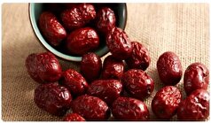 اگر از بیماری‌های گوارشی خسته شده‌اید عناب بخورید!