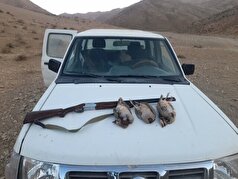 ۱۲ متخلف شکار و صید در اقلید به دام افتادند