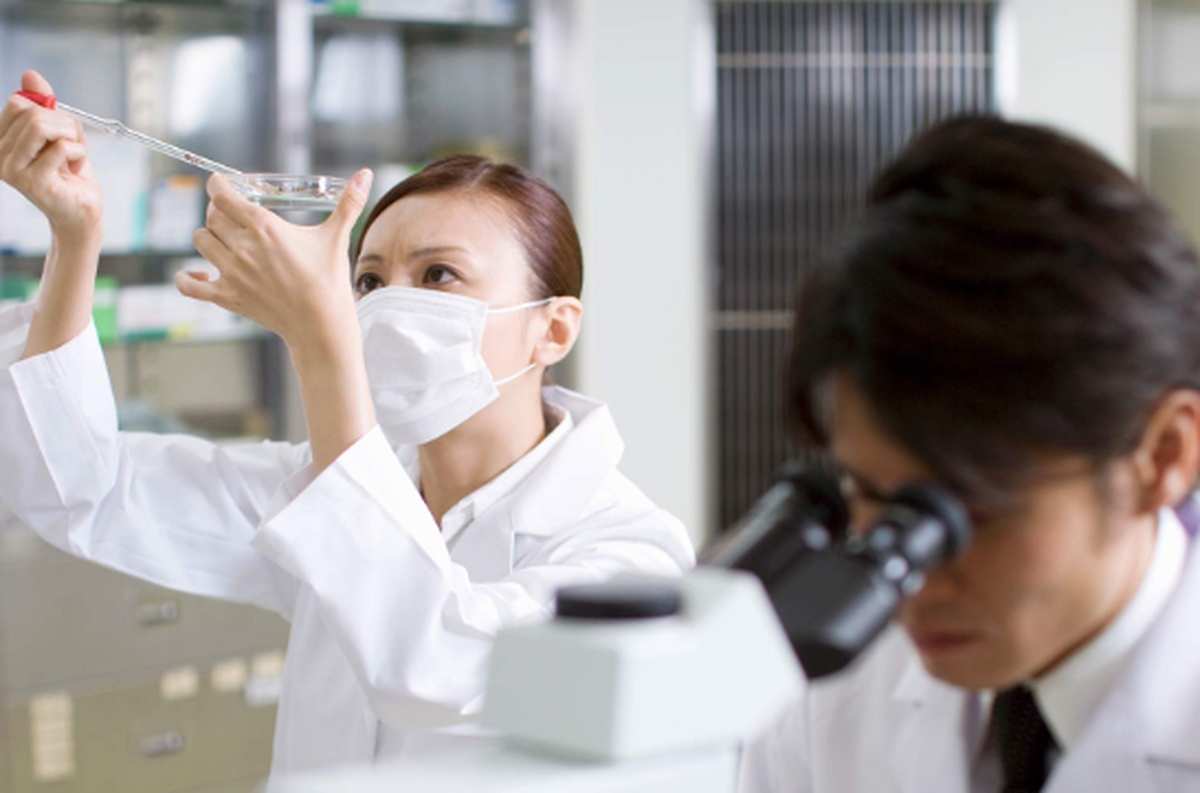 تلاش برای ساخت دارویی که باعث رویش مجدد دندان شود!