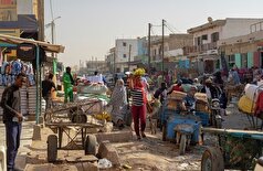 ۳۶ نفر در موریتانی بر اثر دیفتری و تب دره ریفت جان باختند
