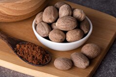 ترکیب جوز هندی ممکن است طول عمر را افزایش دهد