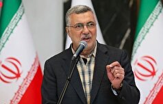 وزیر بهداشت در قاهره: تحریم‌ها به مثابه جنگی خاموش علیه سلامت عمومی است