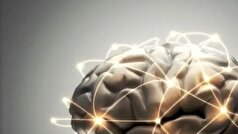 رژیم غذایی کتوژنیک مناسب برای کاهش خطر ابتلا به آلزایمر!