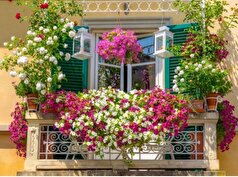 درست کردن یک فضای رویایی و دنج در تراس با کاشت این ۸ گیاه