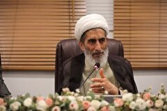 استخدام همکاران شورا‌های حل اختلاف در حال ساماندهی است/ در قرارداد‌ها داور حرفه‌ای قید شود