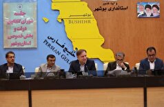 استاندار بوشهر: ظرفیت‌های سرمایه‌گذاری استان در مسیر جهش و تحول قرار گرفته است