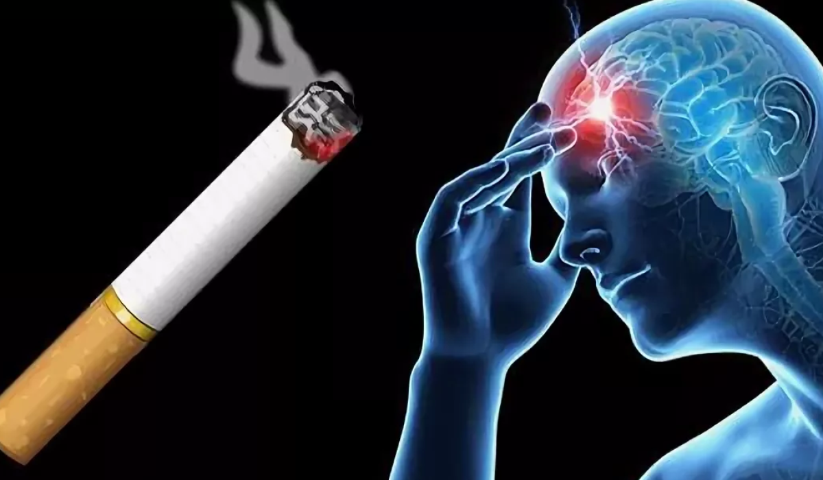 BPGOS: سیگار کشیدن باعث کوچک شدن مغز می‌شود