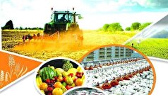 مازندران قطب امنیت غذایی کشور است