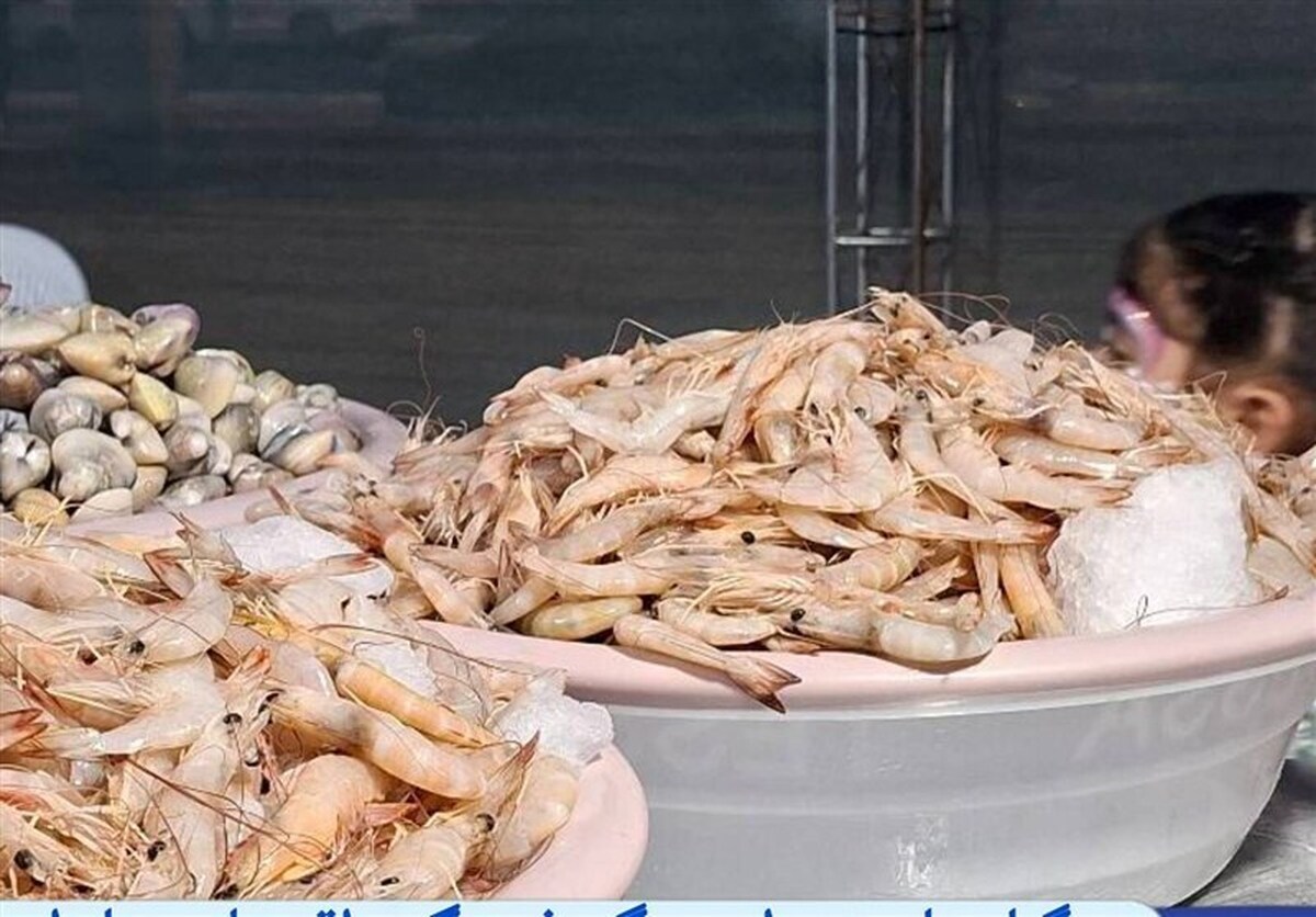 جشنواره میگو گامی برای ترویج فرهنگ بومی و معرفی ظرفیت‌های اقتصادی دریا