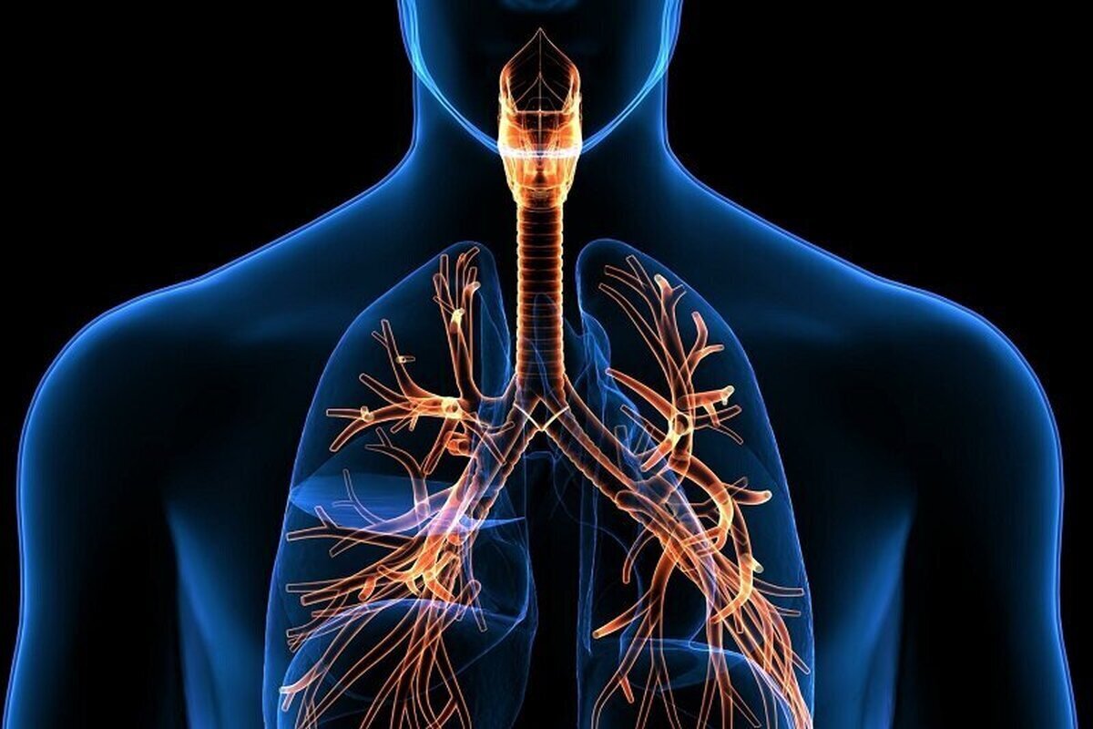 به کمک این تمرینات ریه‌های تان را تقویت کنید/مخصوص تنفس بهتر در هوای سرد!