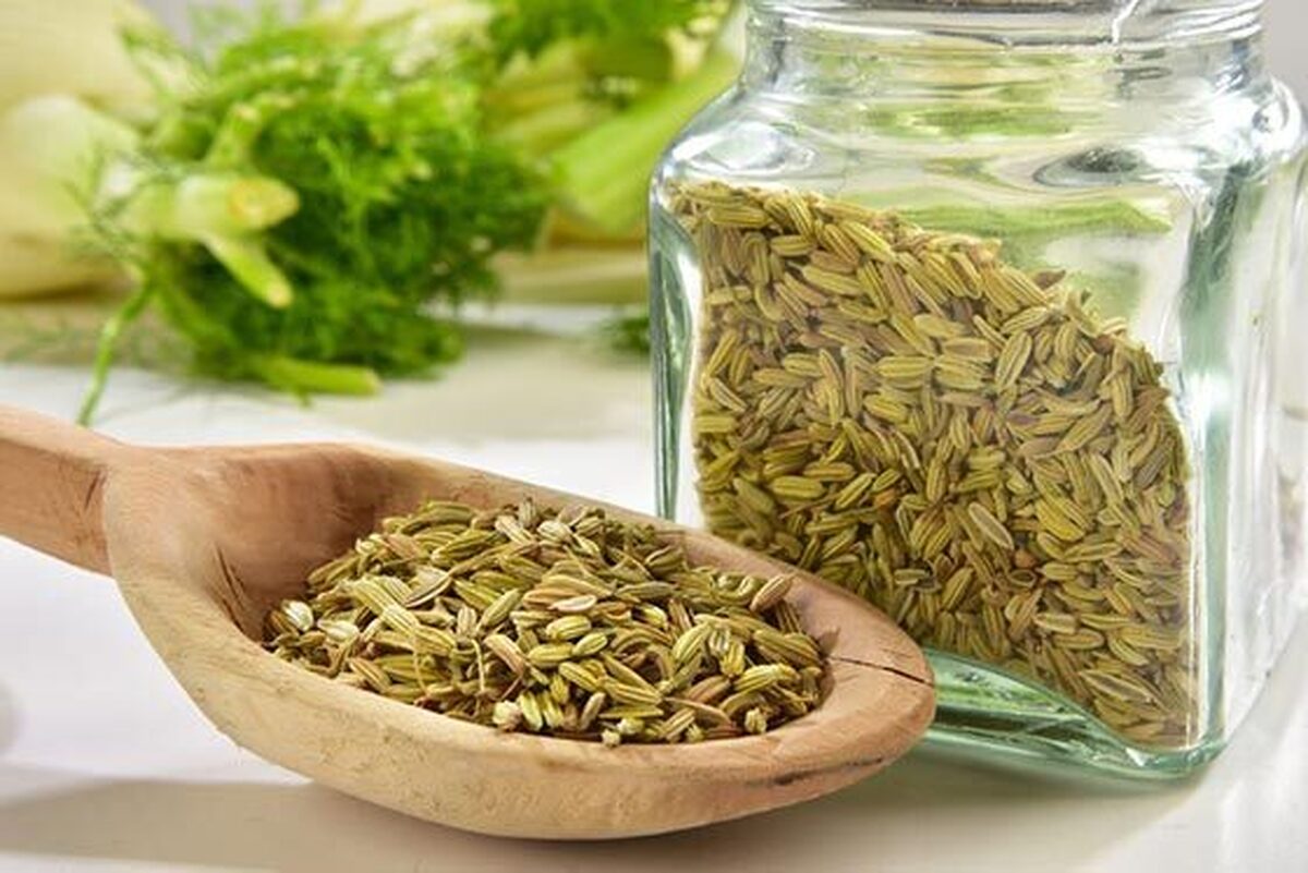 مصرف دارویی گیاه رازیانه برای بدن