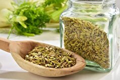 مصرف دارویی گیاه رازیانه برای بدن