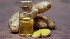 یک متخصص در مورد فواید و موارد منع مصرف زنجبیل بحث کرد.