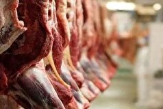 واردات گوشت گرم گوساله با نرخ مصوب ۵۹۸ هزار تومان از پاکستان وبرزیل