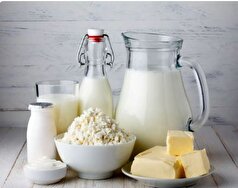 حفظ عملکرد مغز با یک رژیم غذایی مبتنی بر چربی